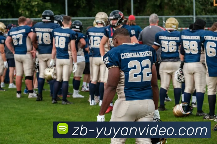 雨燕体育直播全站App